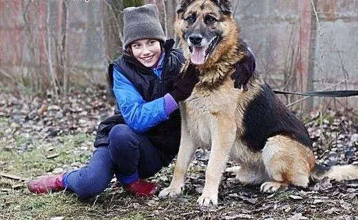 Do adopcji, łódzkie Skierniewice