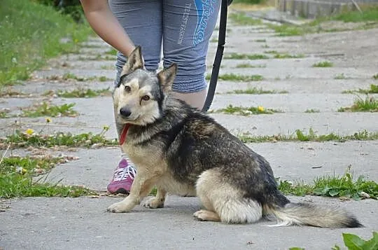 Szeryf nigdy nie byl kochany,teraz mozemy zmienic jego zycie