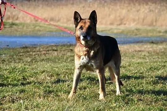 Tira czeka na godną starość !