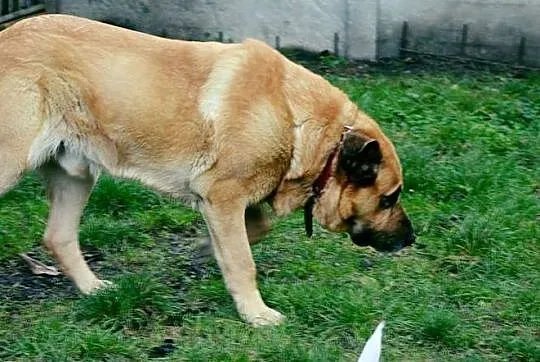 Roni - wiem, że miałem na Ciebie czekać___Przepras