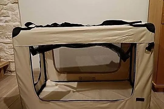 Transporter dla psa