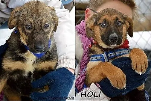 Cassi i Holi - trzymiesięczne siostrzyczki :),  wa