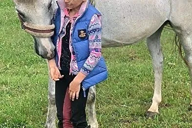 Koń do dzierżawy Jaszkowo, , 