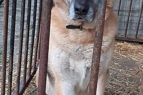 Komisarz Alex na tropie domu, Łódzkie, Tomaszów Mazowiecki