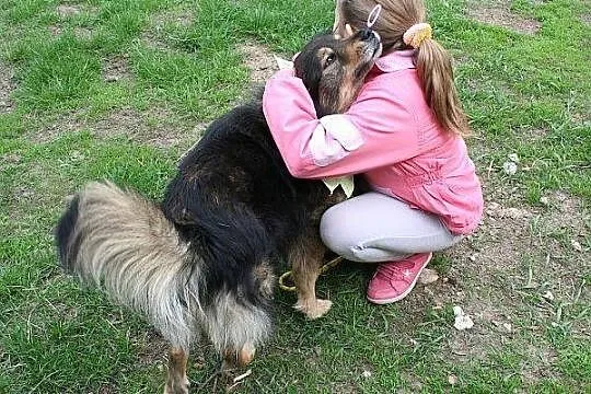 SNIKERS młody bardzo łagodny piesek kocha dzieci s