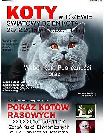 Światowy Dzien Kota w TCZEWIE 22.02.15