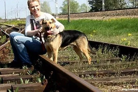 Bruno- milutki psiak,  mazowieckie Nowy Dwór Mazow