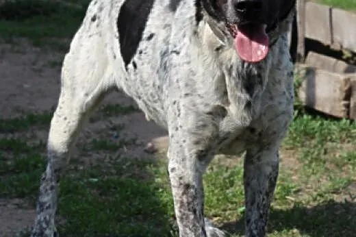 Nerox.Oddam Ci moje serce...,  kujawsko-pomorskie 