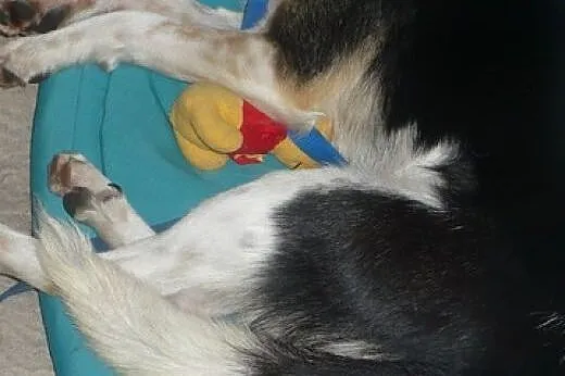 Piękna Karmen czeka na prezent życia...,  małopols