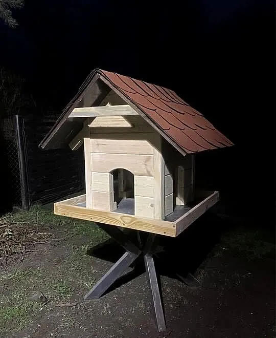 Domekkarmnik dla ptaków duży, Lubelskie, Lublin