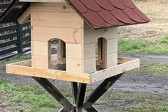 Domekkarmnik dla ptaków duży, Lubelskie, Lublin