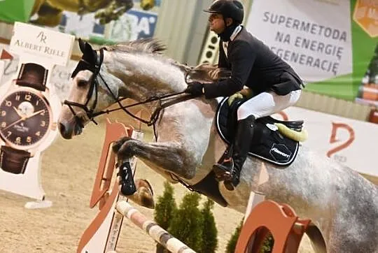 sprzedam klacz do sportu, , 