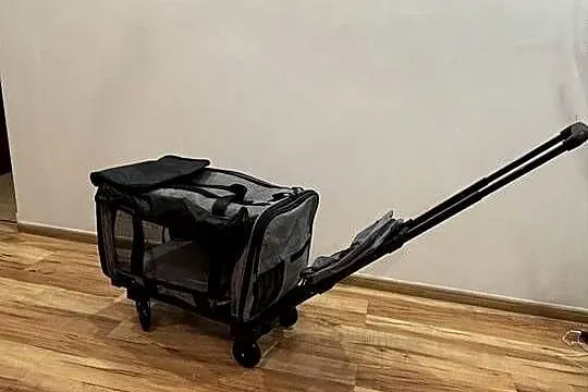 Nowy transporter dla psa kota na kółkach, Małopolskie, Sieradza