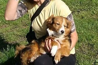 Wygrał zycie, czy ktoś adoptuje maluszka z padaczk