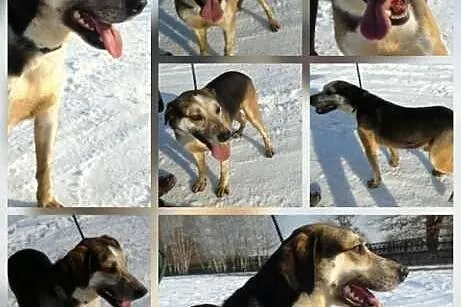 Super suczka NELLY !!!,  mazowieckie Warszawa