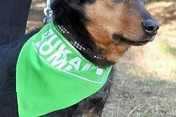 Chcesz posłuchać? No to słuchaj. ,  małopolskie Kr