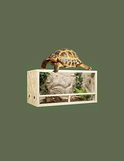 Terrarium z płyty OSB 100x50x50 cm, Wielkopolskie, Pięczkowo