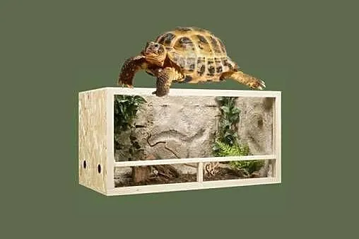Terrarium z płyty osb 100x50x50cm - 250 l