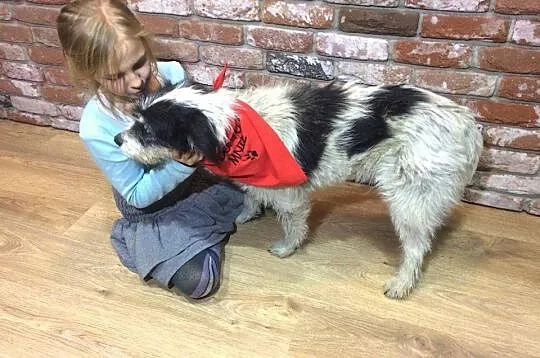 Młodziutka, kudłata Frotka, kocha cały świat! Poko