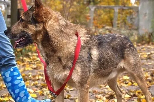 Orlen - dobry przyjaciel :)