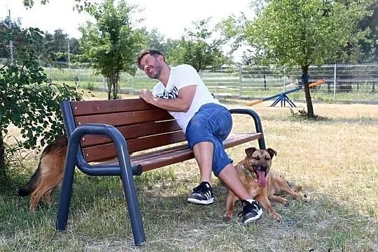 Kompan- cudownego psiaka do adopcji poleca Andrzej Piaseczny, Mazowieckie, Nowy Dwór Mazowiecki