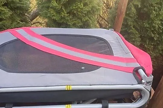 Przyczepka na rower dla psa, Wielkopolskie, Kórnik