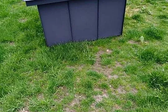 Buda dla średniego psa., Mazowieckie, Wólka-Przekory
