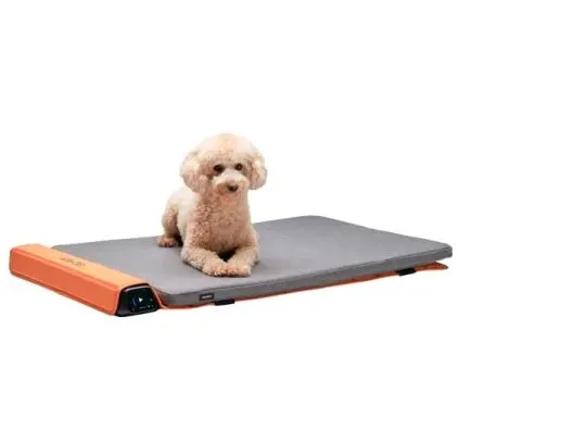 BEMER Dog Basic,BEMER Dog Comfort,BEMER Dog Comfort max