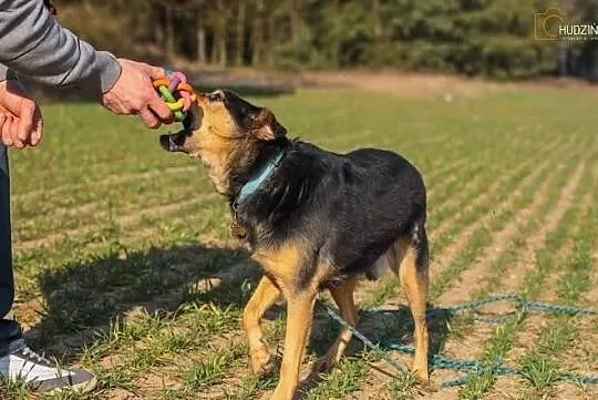 Kocham ludzi, uwielbiam spacery... Ale nie widzę. 