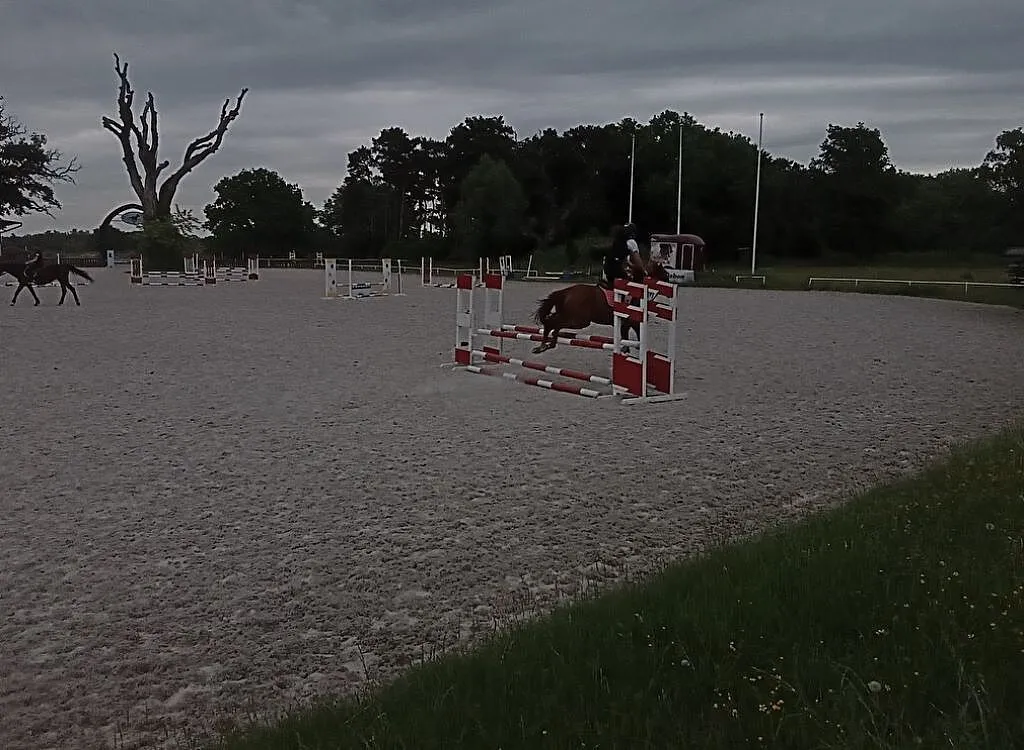 Wypożyczę pod jazdy, Wielkopolskie, Śrem