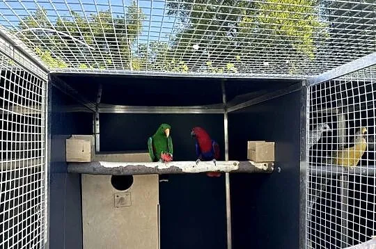 Lory, Dolnośląskie, Trzebnica