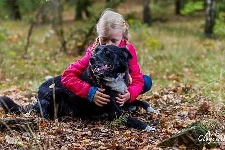 Aaaaaaby znaleźć dom dla Dudusia,  mazowieckie War