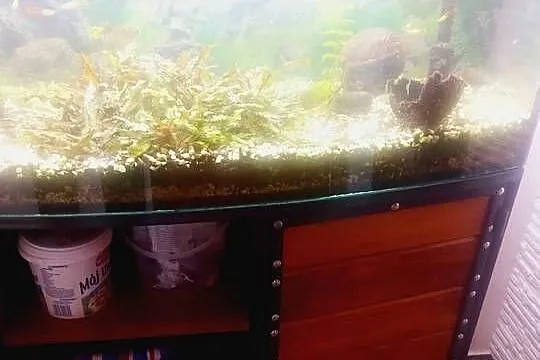 Akwarium szafka pompka zamiana prl, Dolnośląskie, Twardogóra