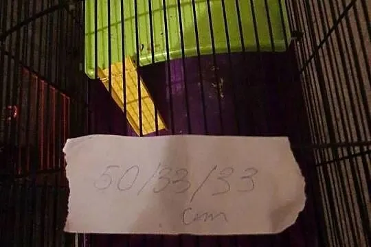 Klatki różne sprzedam