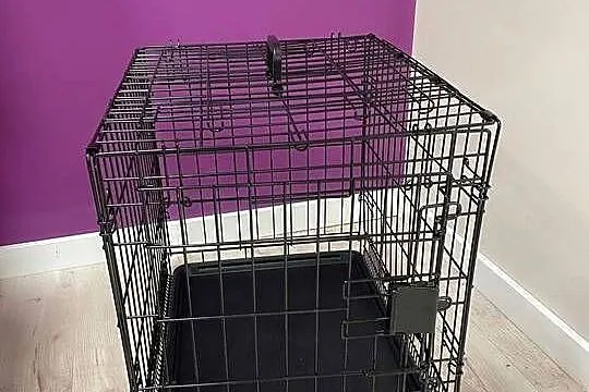 Nowa klatka metalowa dla psa/kota – Solidna i składana, Zachodniopomorskie, Szczecin