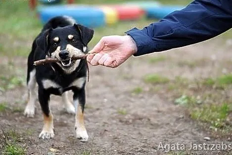 Czarujący, mały Czaruś :),  warmińsko-mazurskie Ol