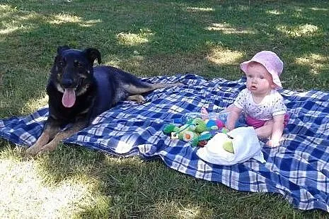 Aaaaaadoptuj Dyzia - zyskaj przyjaciela!,  mazowie