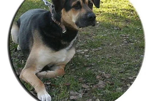 ROKI – młody, przystojny, rozrywkowy :),
