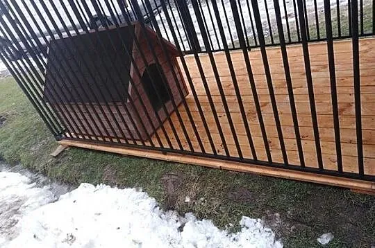 Kojec dla psa Najlepsza jakosc !!, Małopolskie, Tarnów