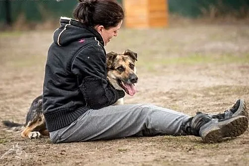 LEO - wesoły, inteligentny pies szuka domu!,  doln