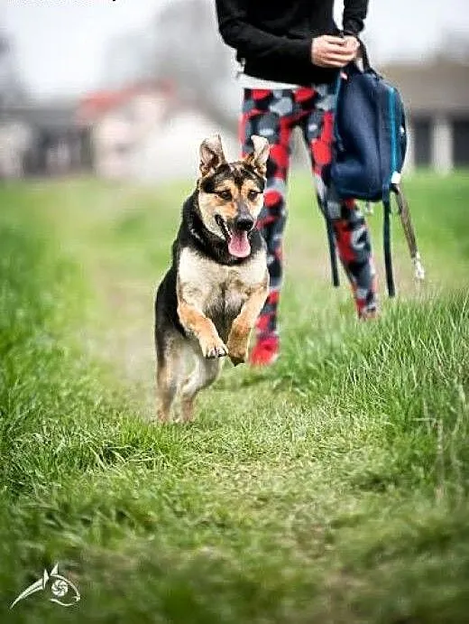SARA - energiczna, radosna, odlotowa, lubelskie L