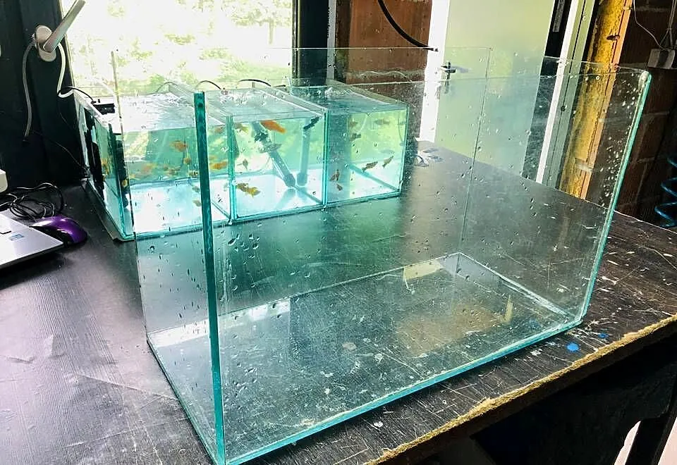 Akwarium 54,5 x 35 x 25, Łódzkie, Justynów