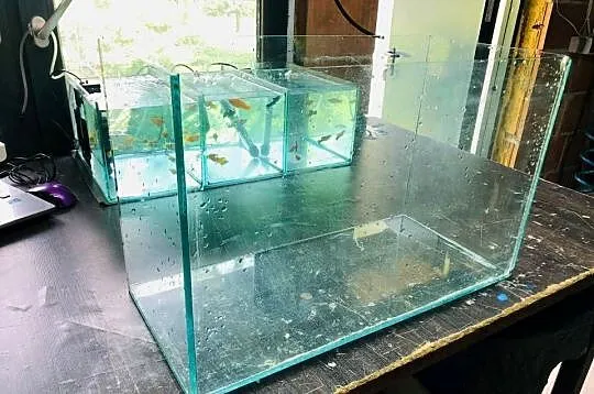 Akwarium 54,5 x 35 x 25, Łódzkie, Justynów