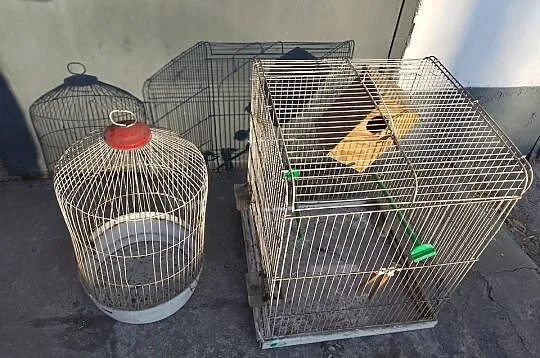 2 stare duże klatki dla gryzoni, ptaków