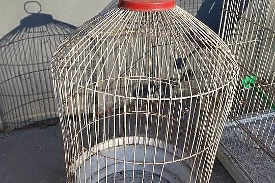2 stare duże klatki dla gryzoni, ptaków, Śląskie, Bytom