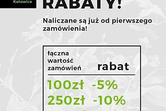 Ludwigia płożąca repens mini super red 10szt., Katowice