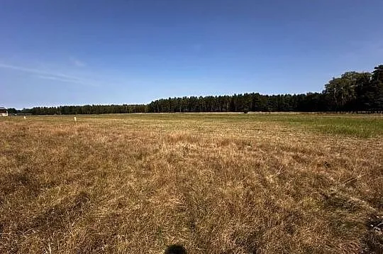 DOMOWY   HOTEL   DLA   PSÓW Technik Weterynarii     Leśna Polana – Mikołesk, Śląskie, Mikołeska