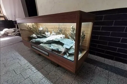 Terrarium hodowlane dla agamy brodatej gekona lamparciego