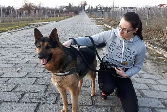 MAKS - ze złota prawdziwego, pokochaj go kolego ;), Łódzkie, Łódź