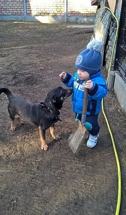 Nie ma drugiego takiego, czyli Maniuś na tropie do